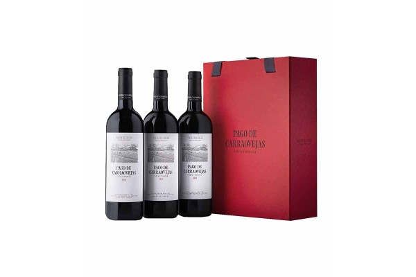PAGO DE CARRAOVEJAS 2020 ESTUCHE