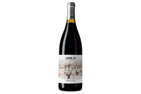 CEPA 21 2022
