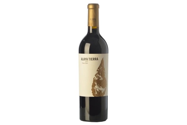 ALAYA TIERRA 2020