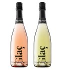 MARIA CASANOVA ESTUCHE Cava